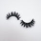 CEO Lash