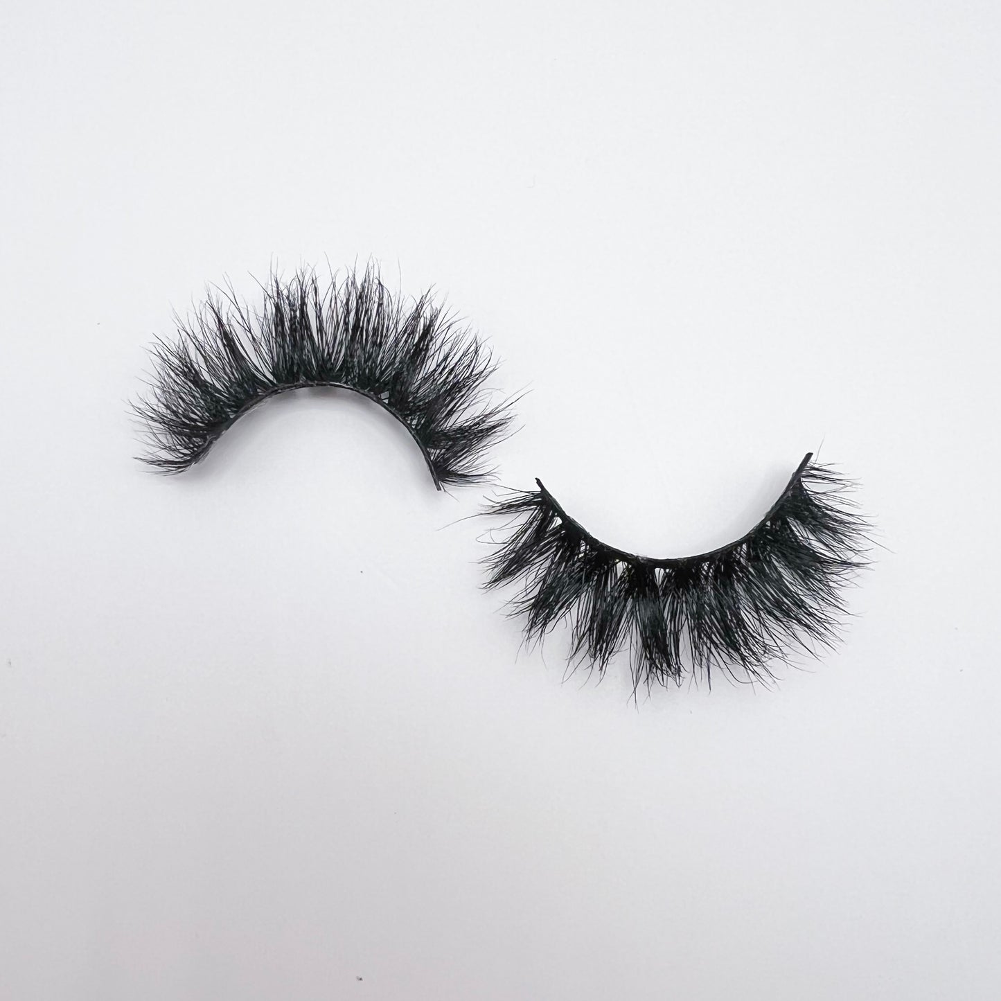 CEO Lash